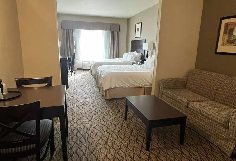 スイート, Holiday Inn Express & Suites Deming Mimbres Valley, An Ihg