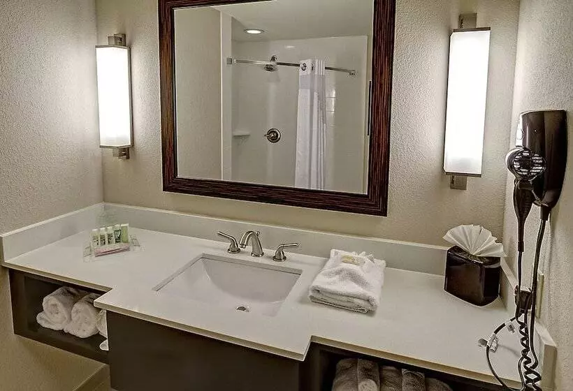 身障者適用スイートルーム, Holiday Inn & Suites Tupelo North, An Ihg