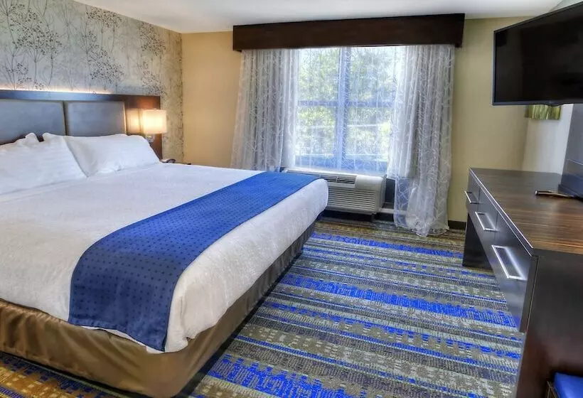 身障者適用スイートルーム, Holiday Inn & Suites Tupelo North, An Ihg