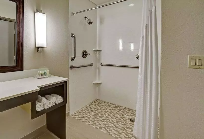 身障者適用スイートルーム, Holiday Inn & Suites Tupelo North, An Ihg