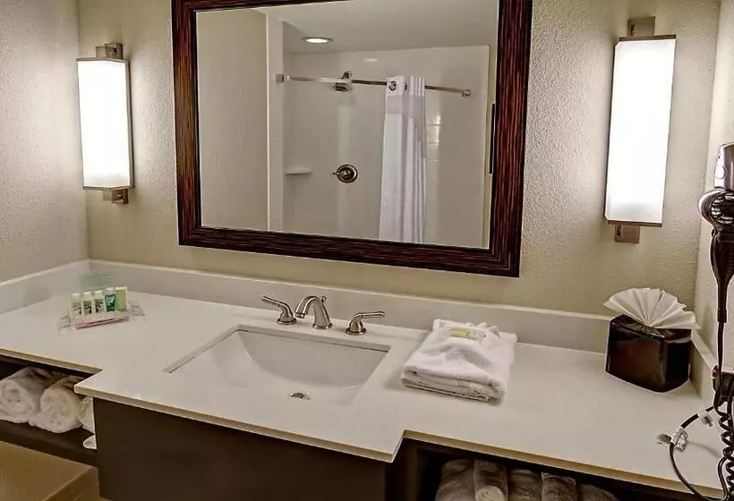 キングサイズベッドのスイートルーム, Holiday Inn & Suites Tupelo North, An Ihg