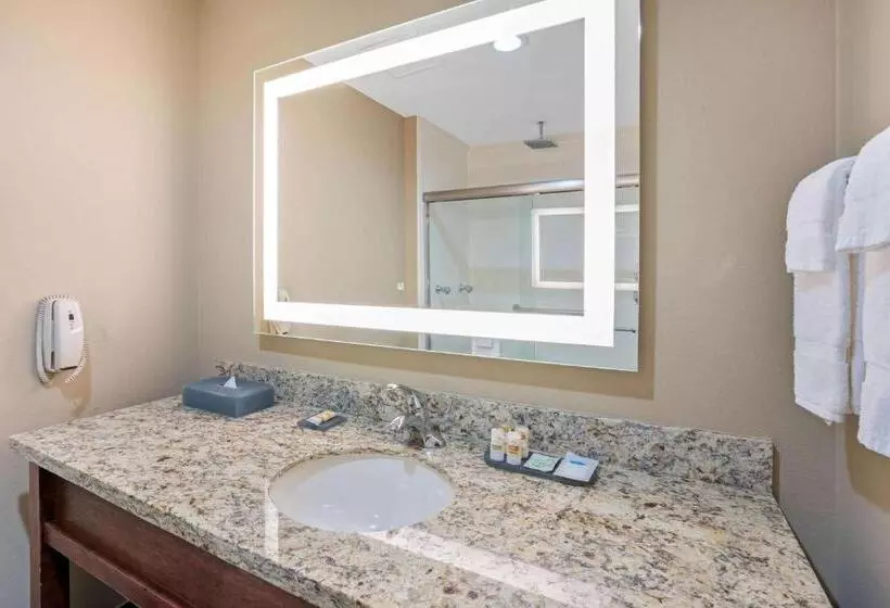 デラックスルーム, La Quinta By Wyndham Houston Willowbrook