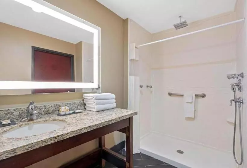 身障者適用キングサイズベッドルーム, La Quinta By Wyndham Houston Willowbrook