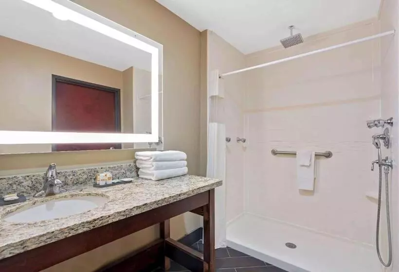 障害者適応デラックスルーム, La Quinta By Wyndham Houston Willowbrook