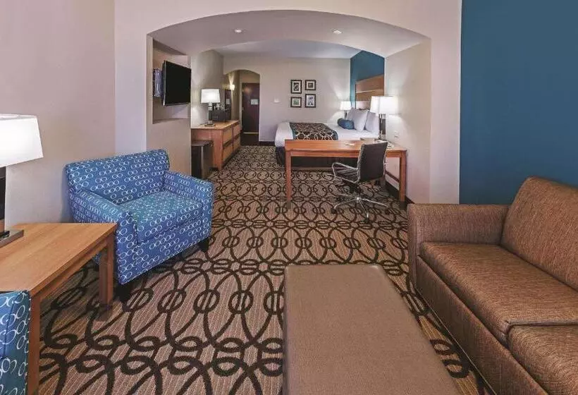 障害者適応デラックスルーム, La Quinta By Wyndham Houston Willowbrook