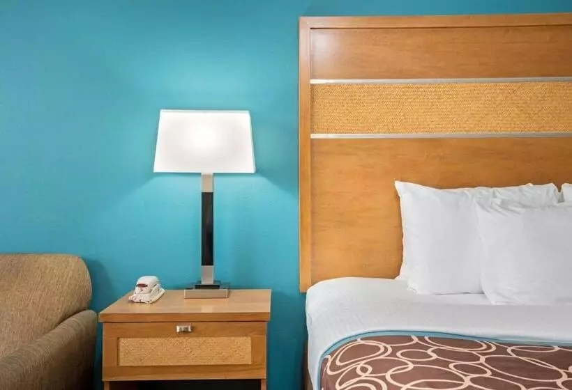 障害者適応デラックスルーム, La Quinta By Wyndham Houston Willowbrook