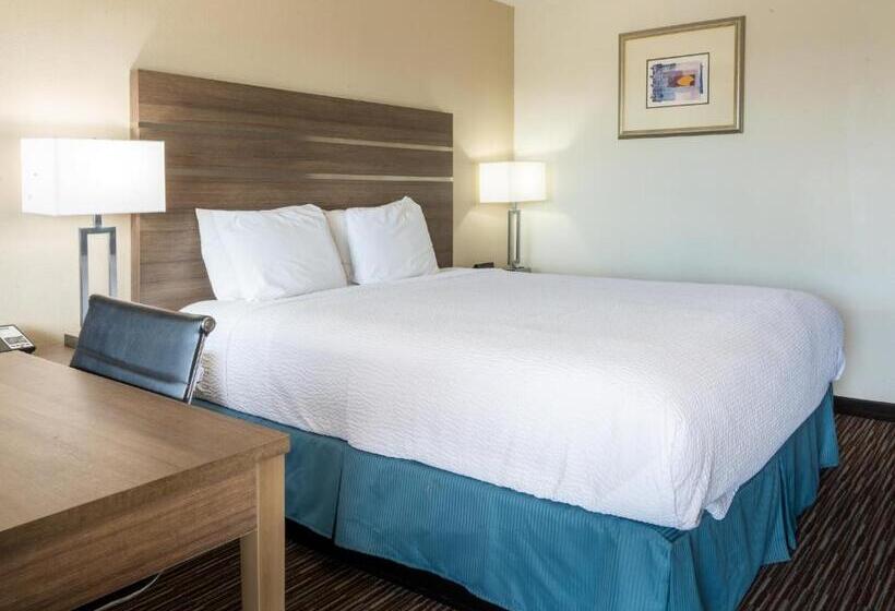 חדר סטנדרט עם מיטת קינג, Rodeway Inn Near Universitygateway To Yosemite