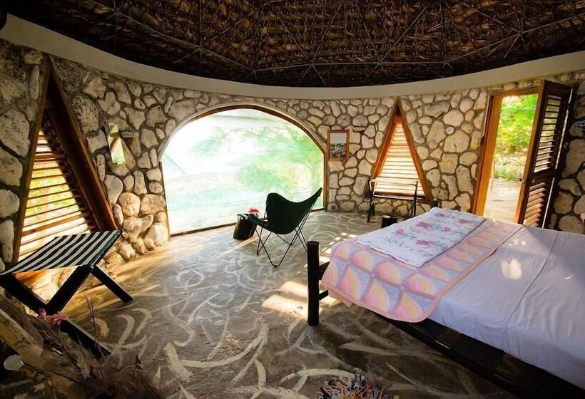 اتاق استاندارد, Jackies On The Reef