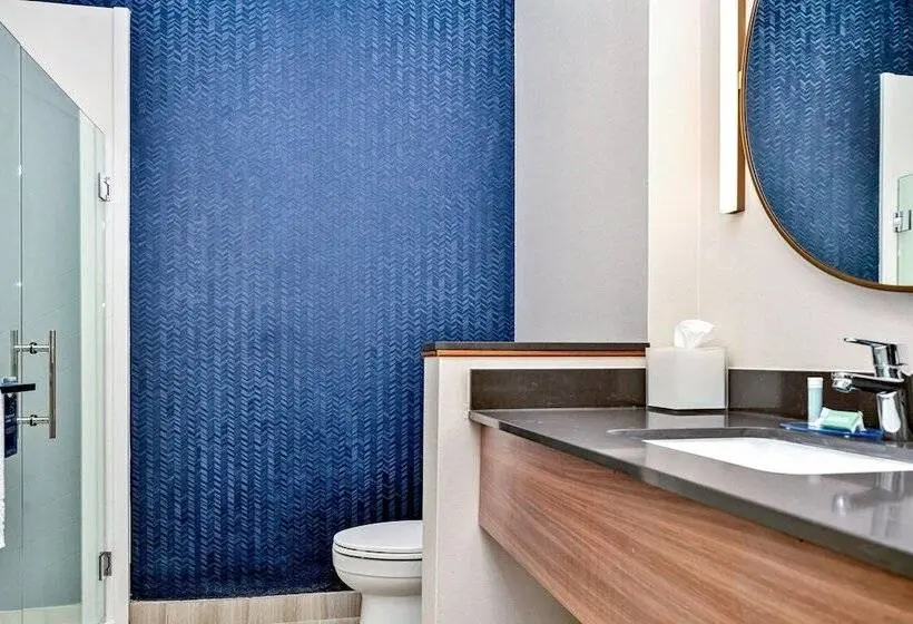 身障者適用スタンダードルーム, Fairfield By Marriott Inn & Suites Corinth South Denton Area