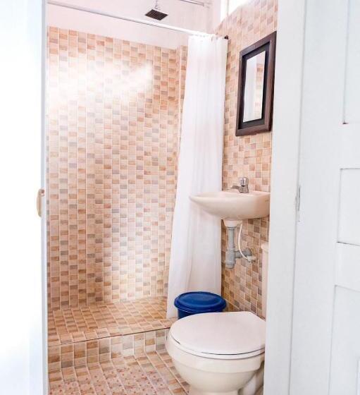 غرفة قياسية, San José House