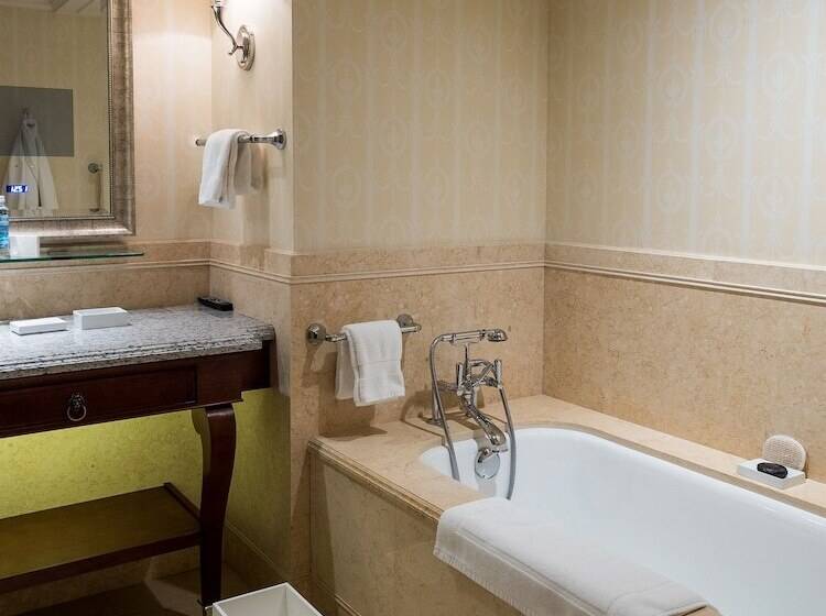 스탠다드 룸 공원 전망, Four Seasons Hotel Lion Palace St. Petersburg