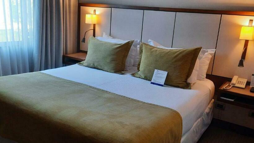 غرفة تنفيذية, Abba Presidente Suites Santiago