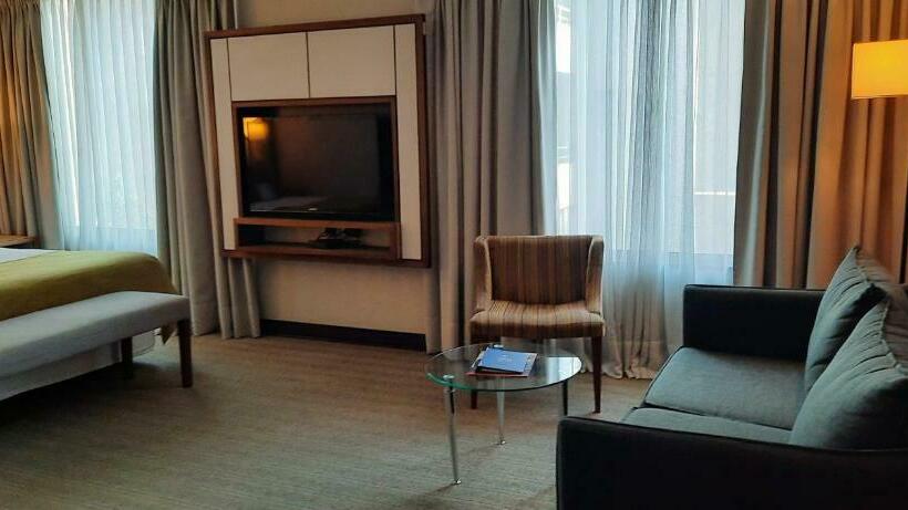 غرفة سوبيريور, Abba Presidente Suites Santiago