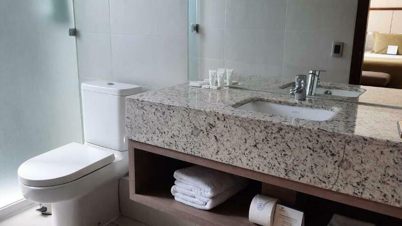 חדר סופריור, Abba Presidente Suites Santiago