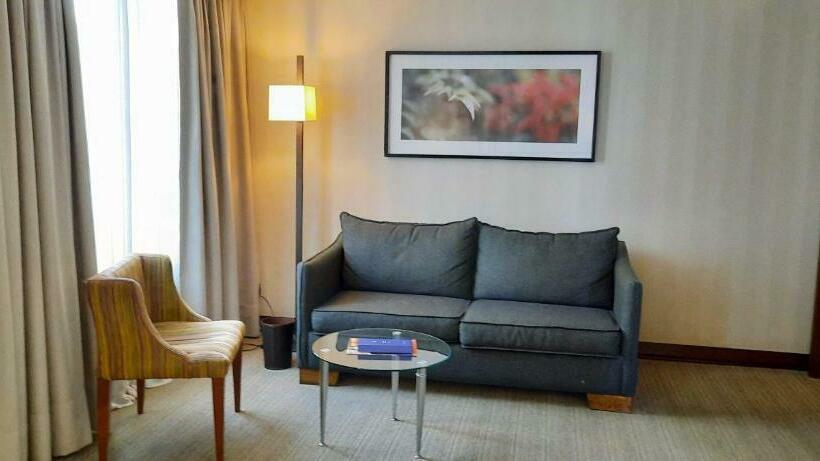 غرفة سوبيريور, Abba Presidente Suites Santiago