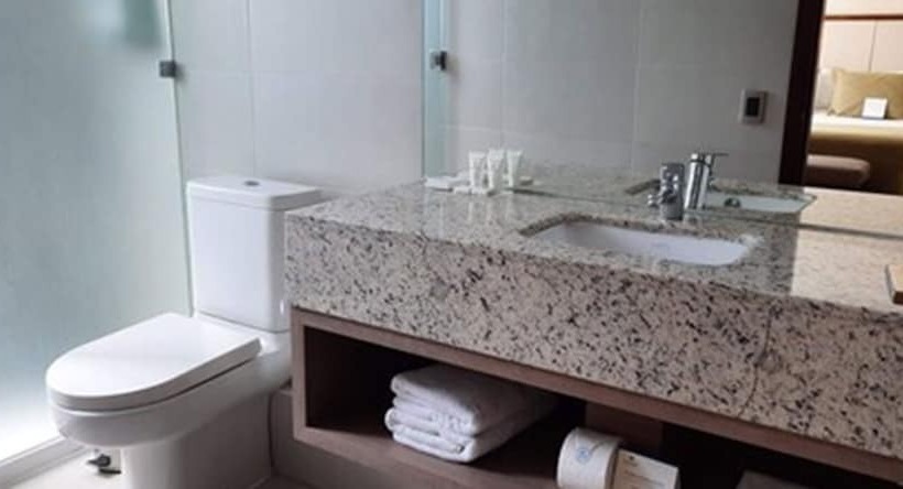 غرفة تنفيذية, Abba Presidente Suites Santiago