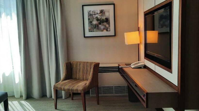 غرفة سوبيريور, Abba Presidente Suites Santiago