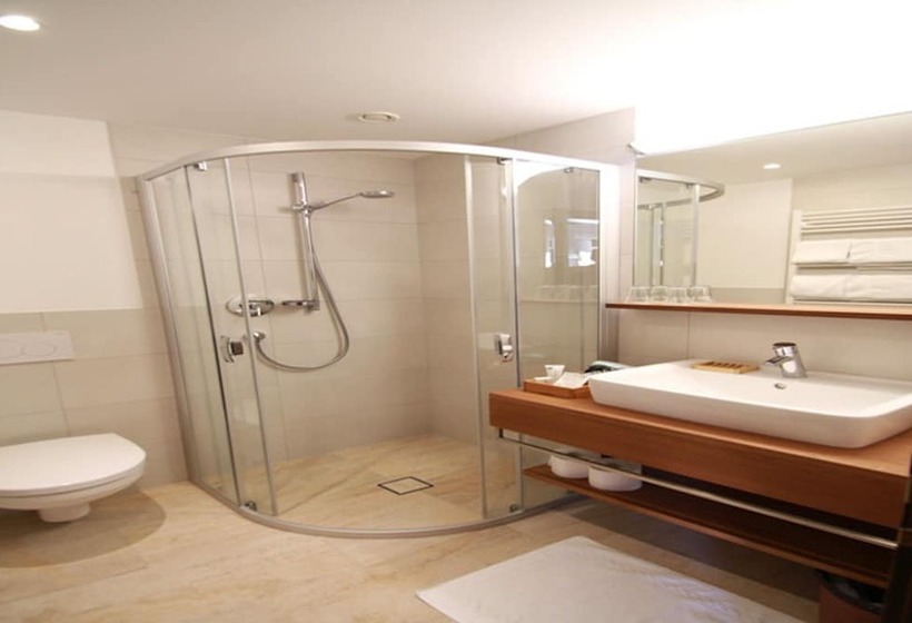 غرفة قياسية مطلة على الجبل, Falknerhof