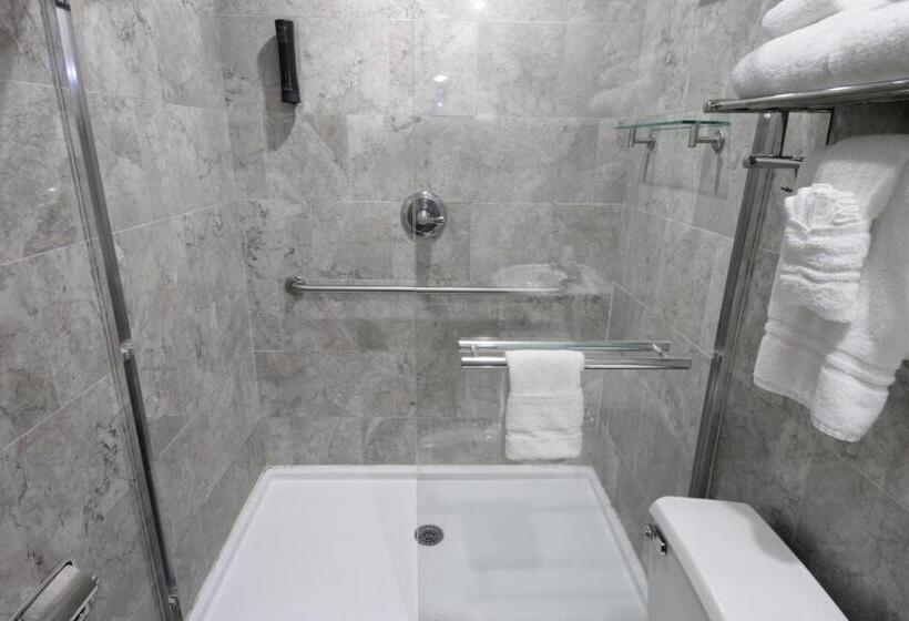 غرفه قياسيه سريرين مزدوجين, Hyde Park