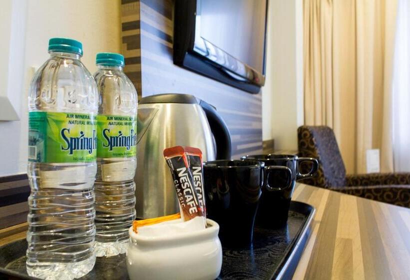 اتاق سوپریور, The 5 Elements