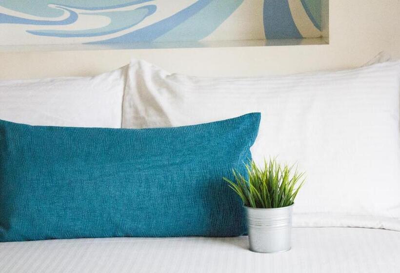 سوییت, The 5 Elements