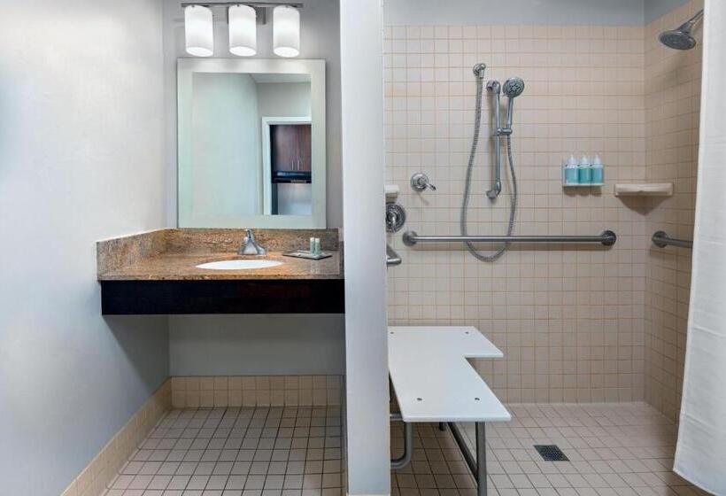 带大床的标准工作室, Towneplace Suites Buffalo Airport