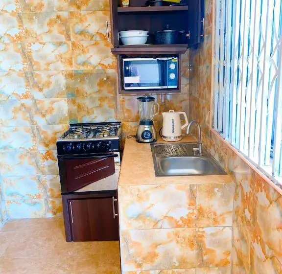 スタンダードシングルルーム, Aiden Homes And Apartments