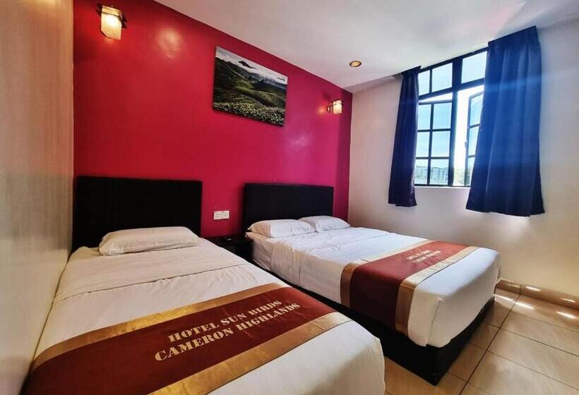 غرفة قياسية ثلاثية, Sun Birds