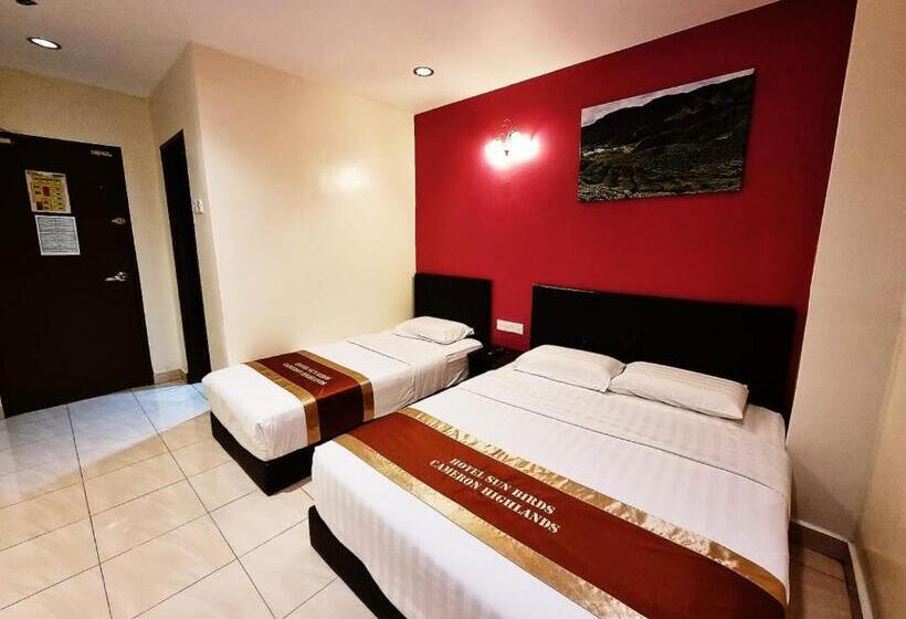 غرفة قياسية ثلاثية, Sun Birds