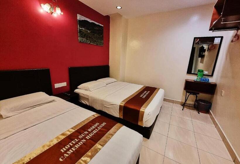 Quarto Triplo Estandar, Sun Birds