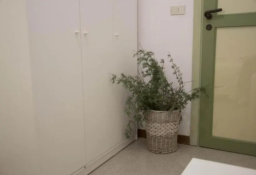スタンダードシングルルーム, Ficodindia Rooms
