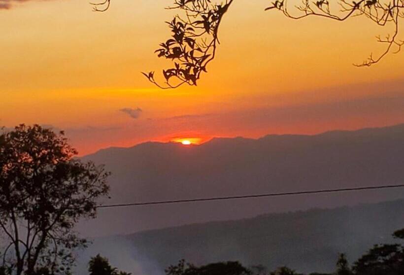 豪华海景房, Ocean View