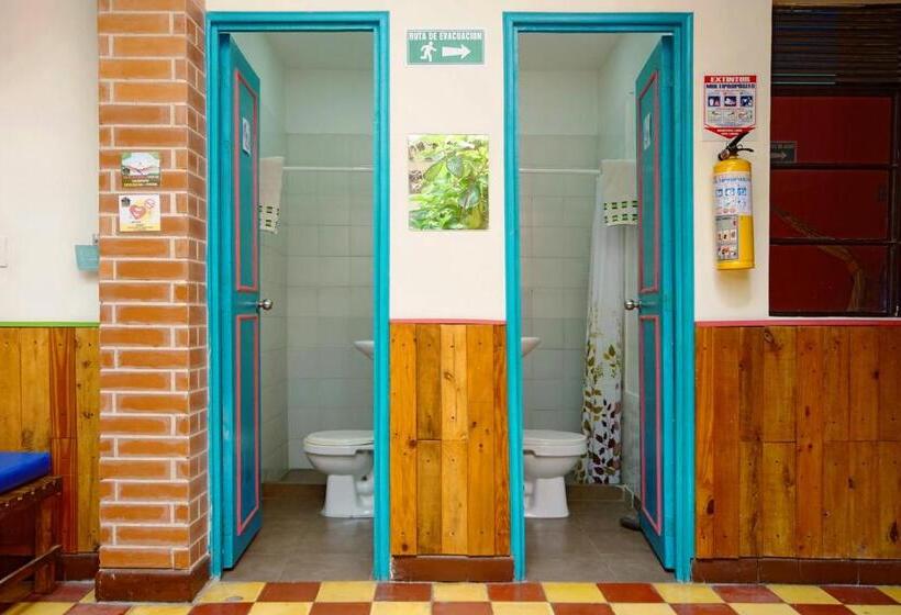 스탠다드 4인용 룸 공용 욕실, Ding Dong Hostel