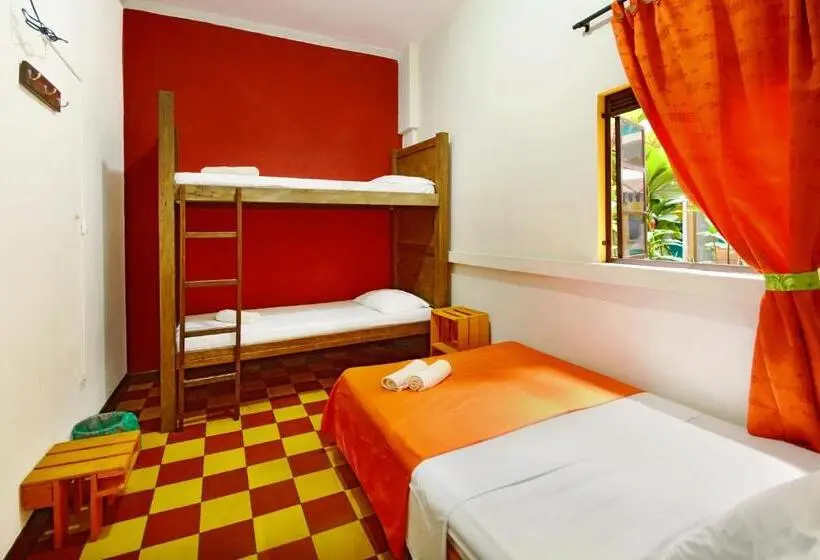 اتاق استاندارد چهارنفره با سرویس بهداشتی مشترک, Ding Dong Hostel