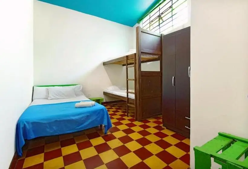 اتاق استاندارد چهارنفره با سرویس بهداشتی مشترک, Ding Dong Hostel
