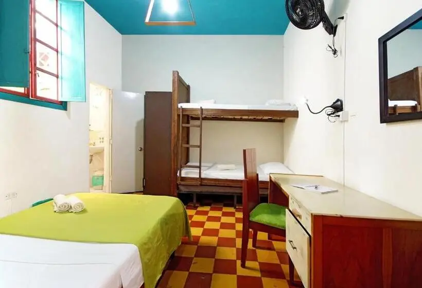 اتاق استاندارد چهار تخته, Ding Dong Hostel