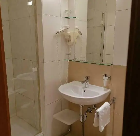 Standard Yhden Hengen Huone, Villa Styria