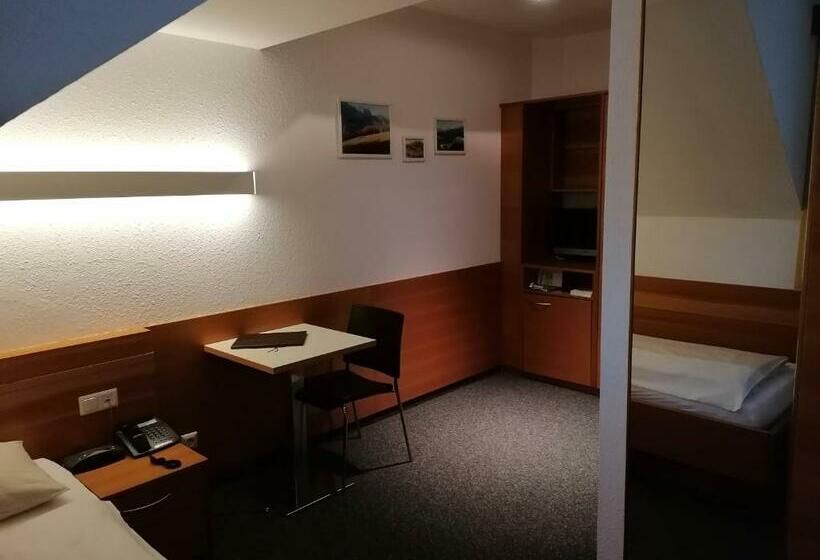 غرفة قياسية فردية, Villa Styria