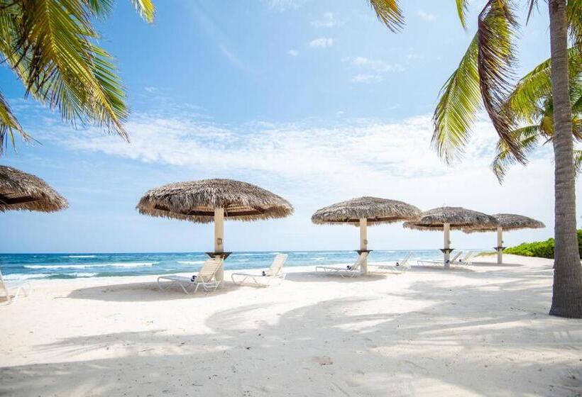 Студио Стандарт Кровать Кинг, Le Soleil D Or