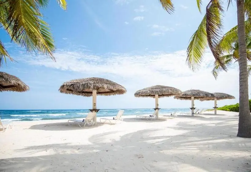 استودیو استاندارد با تخت کینگ, Le Soleil D Or