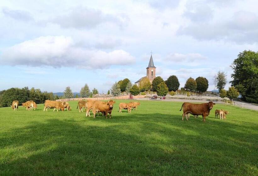 Номер Стандарт, Le Cedre Bleu