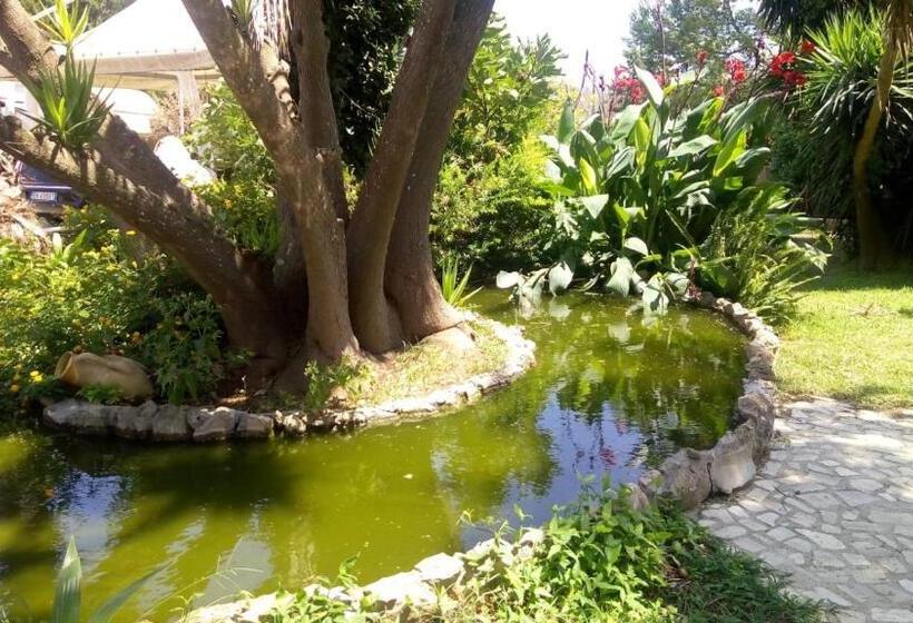 חדר סטנדרט, B&b Scipponate