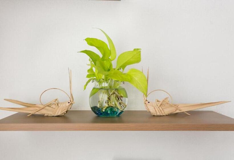 اتاق خانوادگی, Saigoncucu Near Bui Vien Town