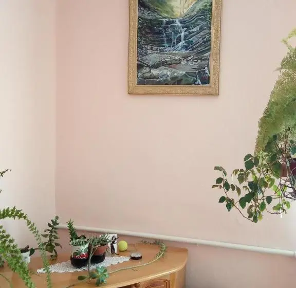 スタンダードルーム, Bat Kivska Hata