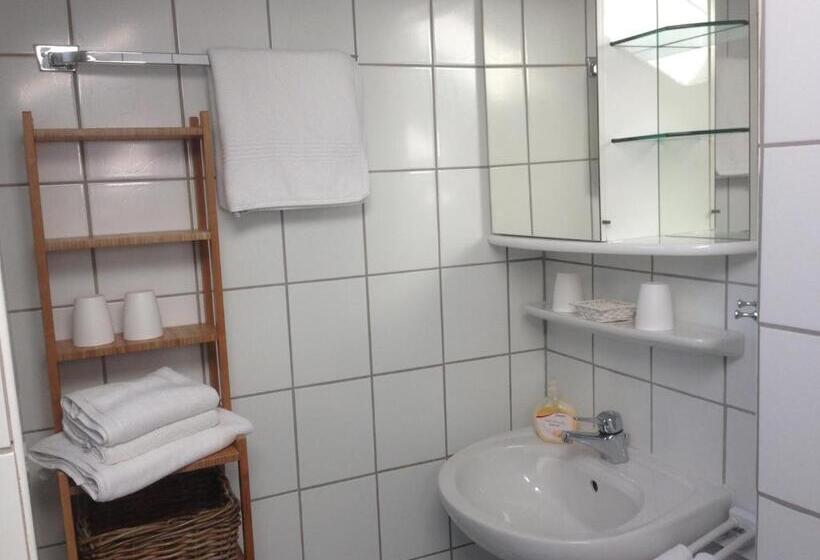 شقة غرفة واحدة, Haus Guentli