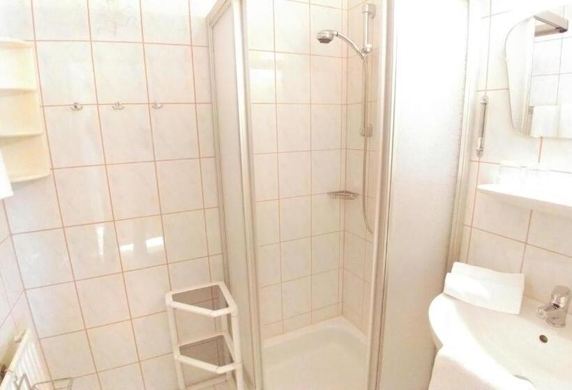 침실 1개 아파트, Aparthotel Dachsteinblick