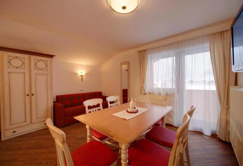 스탠다드 스튜디오, Aparthotel Dachsteinblick