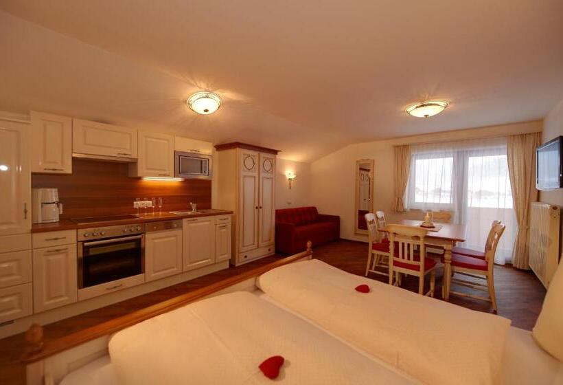 스탠다드 스튜디오, Aparthotel Dachsteinblick