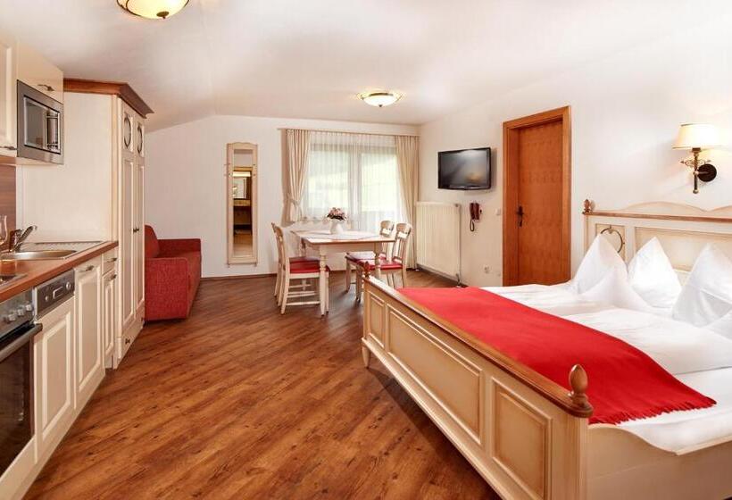 스탠다드 스튜디오, Aparthotel Dachsteinblick