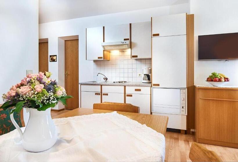 침실 1개 아파트, Aparthotel Dachsteinblick